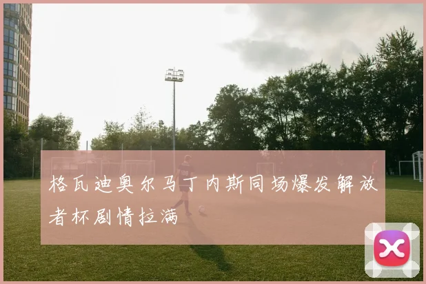 格瓦迪奥尔马丁内斯同场爆发解放者杯剧情拉满