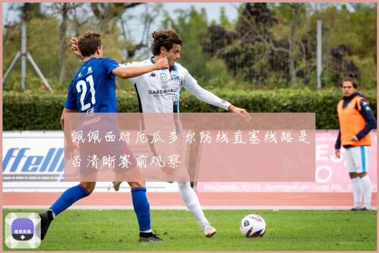 佩佩面对厄瓜多尔防线直塞线路是否清晰赛前观察